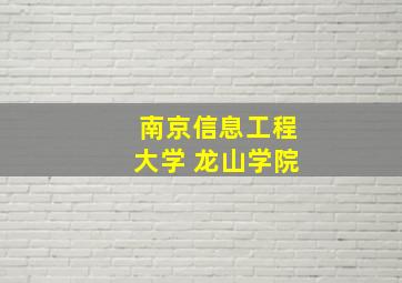 南京信息工程大学 龙山学院